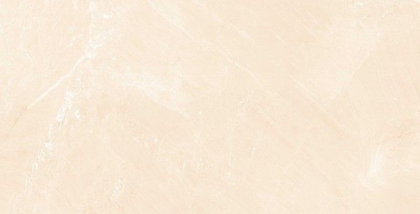 PGVT 및 GVT - 600 x 1200mm(24 x 48인치) - ADS_MARBLE_419_5_R1
