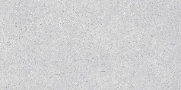 azulejo hidráulico - 600 x 1200 mm (24 x 48 polegadas) - APOLLO GRIS