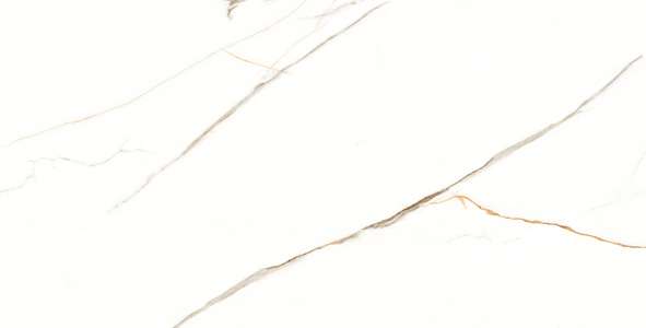 Glazed Porcelain Tiles - 600 x 1200 mm ( 24 x 48 inch ) - GLACIER GOLD R1