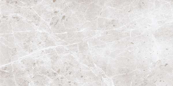 Glazed Porcelain Tiles - 600 x 1200 mm ( 24 x 48 inch ) - svpl-6036-1