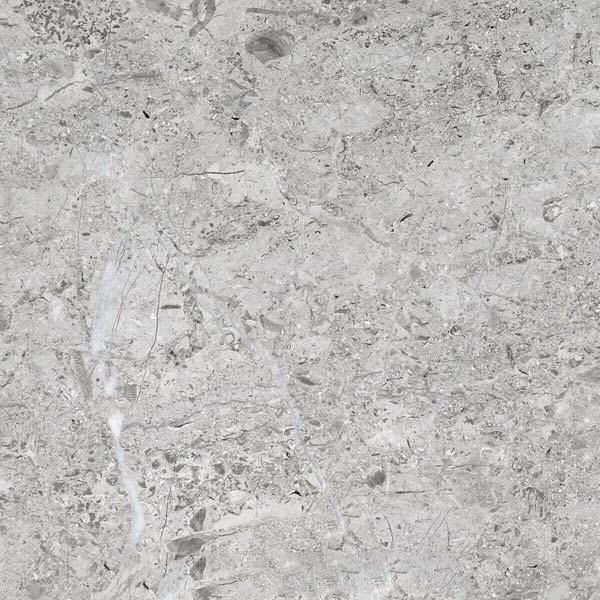 Arctic Silver Limestone