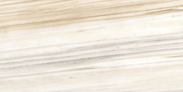 Wall Tiles - 300 x 600 mm ( 12 x 24 inch ) - CAP6046