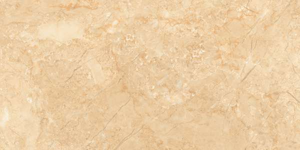 Glazed Porcelain Tiles - 600 x 1200 mm ( 24 x 48 inch ) - MORON BROWN_01