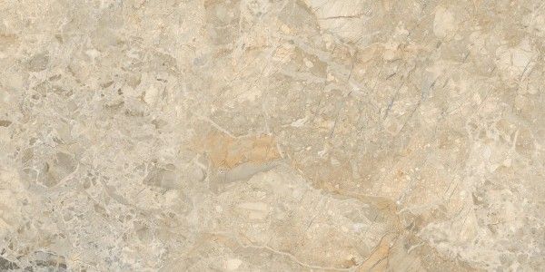 Glazed Porcelain Tiles - 600 x 1200 mm ( 24 x 48 inch ) - Brescia Fantasy