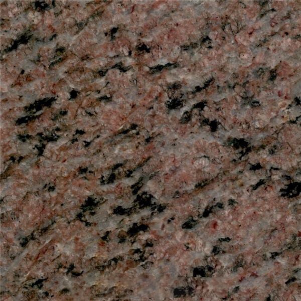 Special Brown Granite