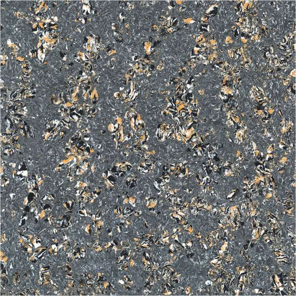 Vitrified Tiles - 600 x 600 mm ( 24 x 24 inch ) - CRETA ZEBRA ( D )