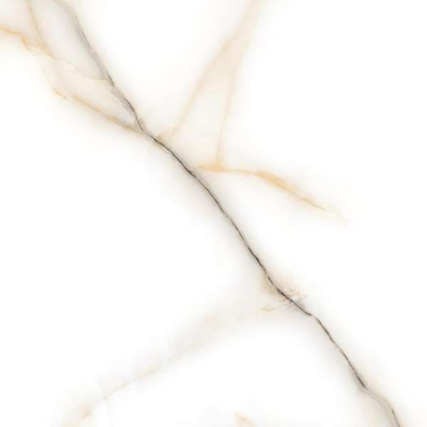 Glazed Porcelain Tiles - 600 x 600 mm ( 24 x 24 inch ) - LINUX SATVARIO_1