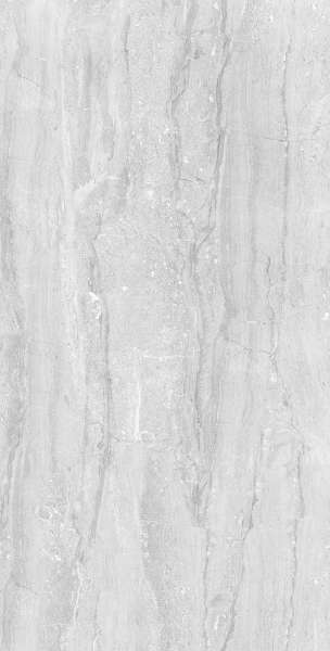 Glazed Porcelain Tiles - 600 x 1200 mm ( 24 x 48 inch ) - DYNA-CAMRY-GREY_R1