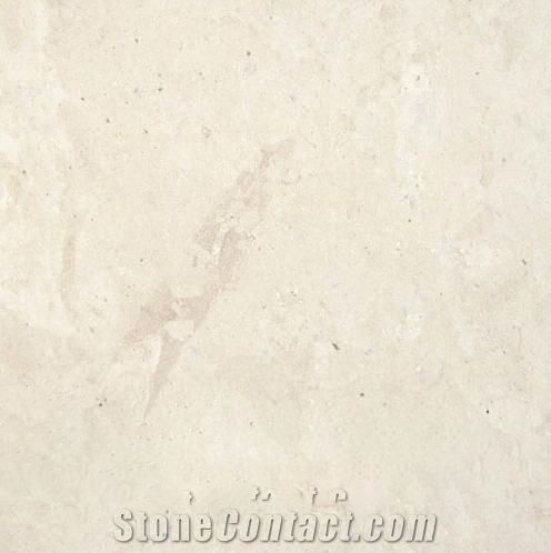 Thala Beige Coquillage Limestone