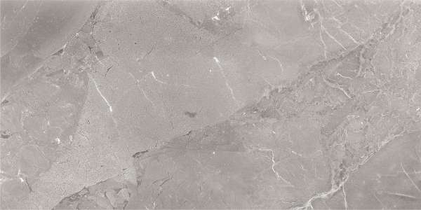 Glazed Porcelain Tiles - 600 x 1200 mm ( 24 x 48 inch ) - svpl-6022-1