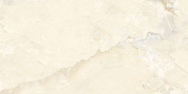 Glazed Porcelain Tiles - 600 x 1200 mm ( 24 x 48 inch ) - pisa-onyx-1