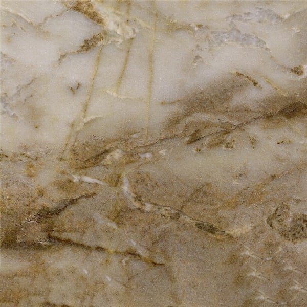 Regina Gold Marble