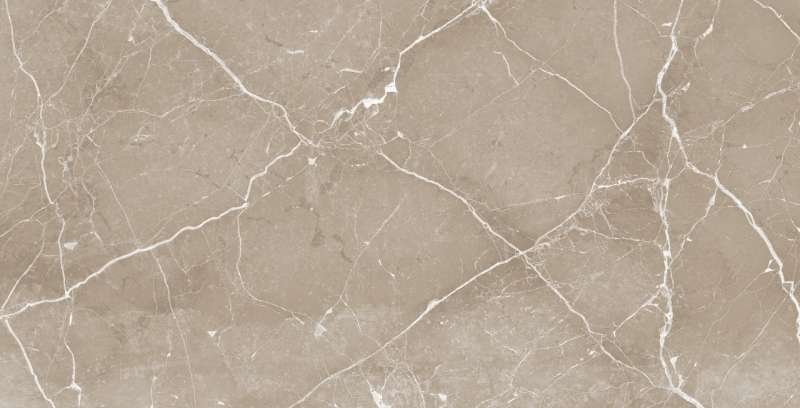 Glazed Porcelain Tiles - 600 x 1200 mm ( 24 x 48 inch ) - RUBY PEARL R1