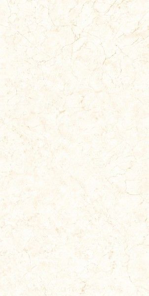 azulejo hidráulico - 600 x 1200 mm (24 x 48 polegadas) - ARIC BEIGE[1]