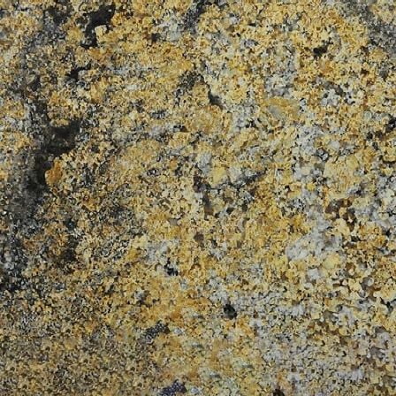 Golden Odyssey Granite