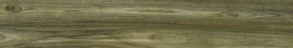 Wooden Tiles - 200 x 1200 mm  (08 x 48 inch) - FOREST_WOOD_LEAFY-D