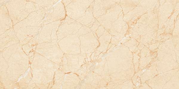 azulejo hidráulico - 600 x 1200 mm (24 x 48 polegadas) - CRENDIL BEIGE_01