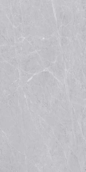 carrelage porcelanosa - 600 x 1200 mm ( 24 x 48 pouces ) - ARMONIA-GREY-1