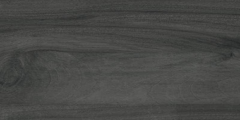 carrelage porcelanosa - 195 x 1200 mm (8 x 48 pouces) - CEDAR GREEN_1