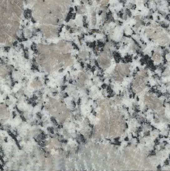 Pearl Flower Granite