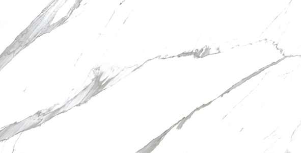 PGVT & GVT - 600 x 1200 mm ( 24 x 48 inci ) - CARRARA PEARL R1