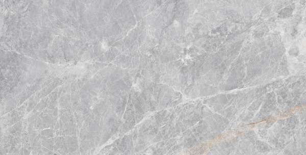 pavimento gres porcellanato - 600 x 1200 mm (24 x 48 pollici) - ELENZA SILVER_01