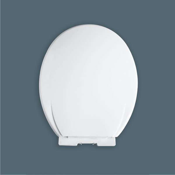 Cistern & Seat Cover  - CPI-3005-2