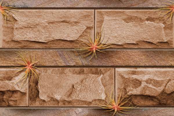 Exterior / Elevation Tiles - 300 x 450 mm  ( 12 x 18 inch ) - MALLORCA 03