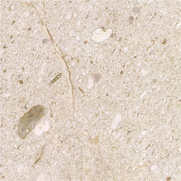 Warm Beige Limestone