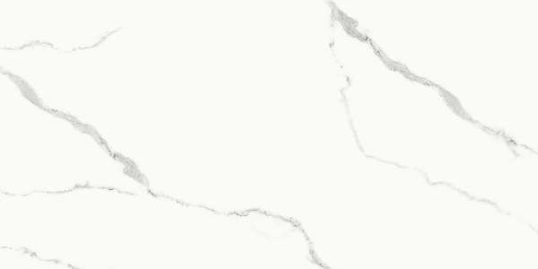 PGVT & GVT - 600 x 1200 mm ( 24 x 48 inci ) - carrara-white-1