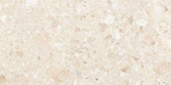 Glazed Porcelain Tiles - 600 x 1200 mm ( 24 x 48 inch ) - serena-beige-1