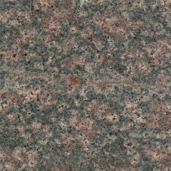 Desert Bloom Granite