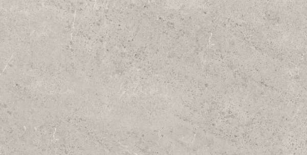 Glazed Porcelain Tiles - 800 x 1600 mm ( 32 x 64 inch ) - BRESDYNE GREY_01