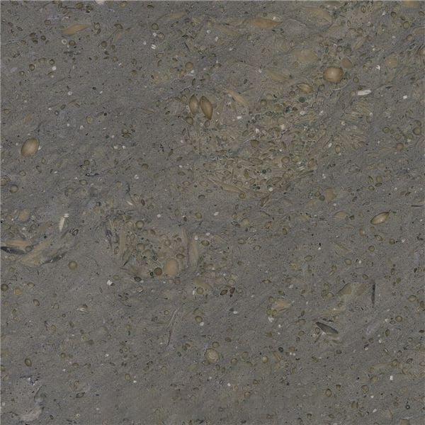 Platinum Gray Limestone