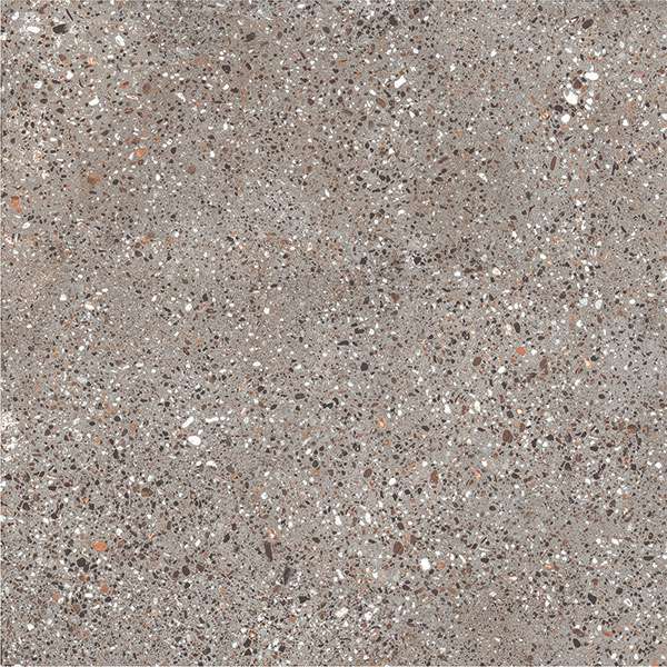 pavimento gres porcellanato - 195 x 1200 mm (8 x 48 pollici) - svpl-3016-1