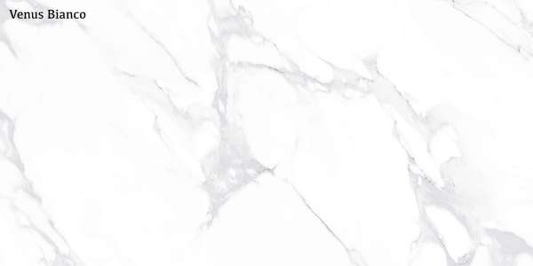 Glazed Porcelain Tiles - 600 x 1200 mm ( 24 x 48 inch ) - Venus Bianco