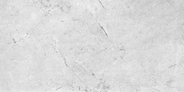 carrelage porcelanosa - 600 x 1200 mm ( 24 x 48 pouces ) - DALLAS GREY_03