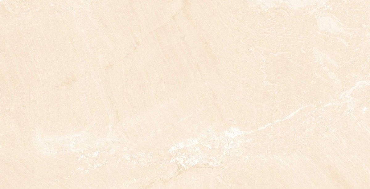 Glazed Porcelain Tiles - 600 x 1200 mm ( 24 x 48 inch ) - ADS_MARBLE_419_5_R1