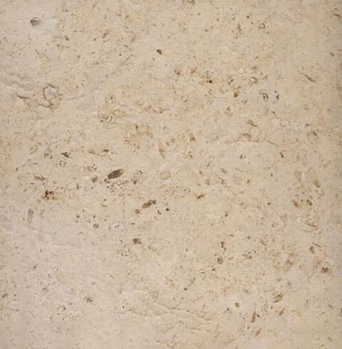 Seashell Limestone