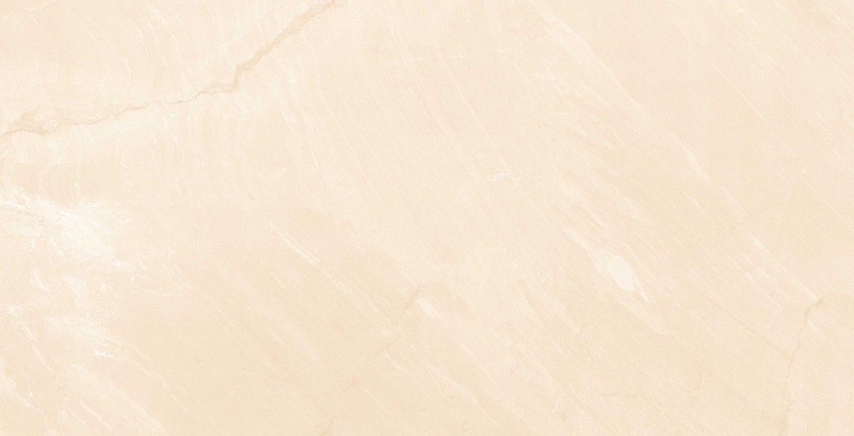 PGVT 및 GVT - 600 x 1200mm(24 x 48인치) - ADS_MARBLE_419_5_R1