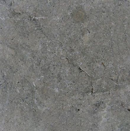 Kinnekulle Gray Limestone