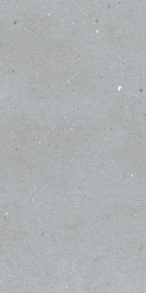 tiling porcelain stoneware - 800 x 1600 mm (32 x 64 pouces) - EMERALD GRIS-1