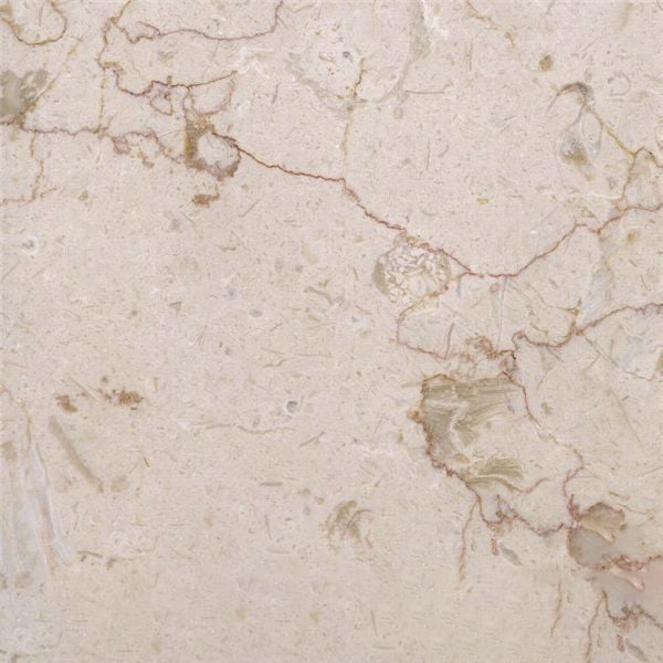 Jurassic Cream Marble