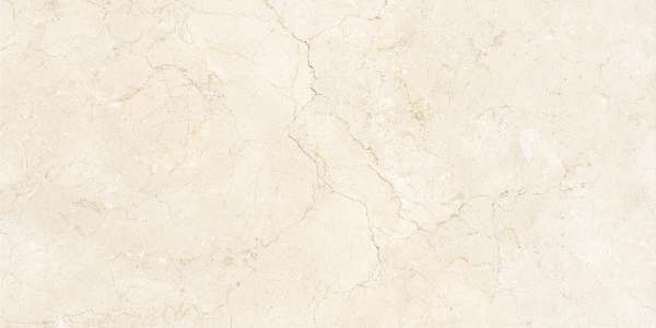 pavimento gres porcellanato - 600 x 1200 mm (24 x 48 pollici) - svpl-6039-1