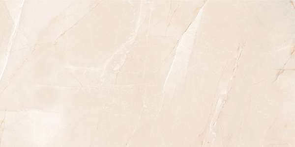 Glazed Porcelain Tiles - 600 x 1200 mm ( 24 x 48 inch ) - harmony-onyx-1