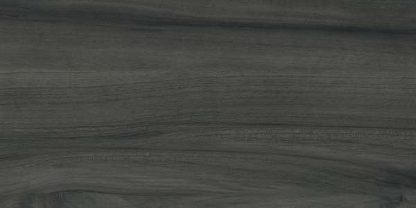 Glazed Porcelain Tiles - 195 x 1200 mm ( 8 X 48 inch ) - CEDAR GREEN_1