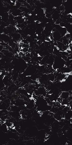 seramik granit - 800 x 1600 mm ( 32 x 64 inç ) - SILVER PORTORO_1