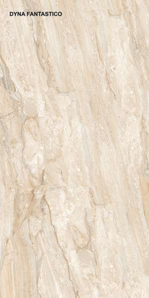 Glazed Porcelain Tiles - 600 x 1200 mm ( 24 x 48 inch ) - DYNA FANTASTICO P1 