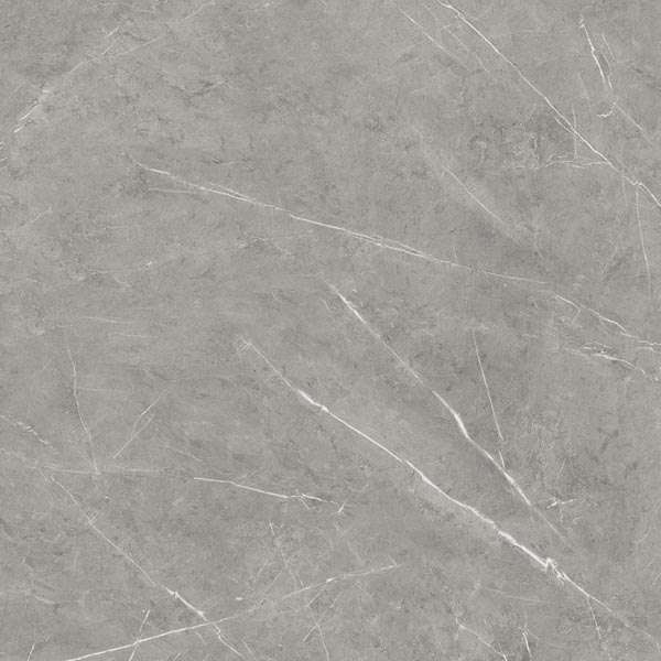 Glazed Porcelain Tiles - 600 x 600 mm ( 24 x 24 inch ) - BLUZY GREY R1