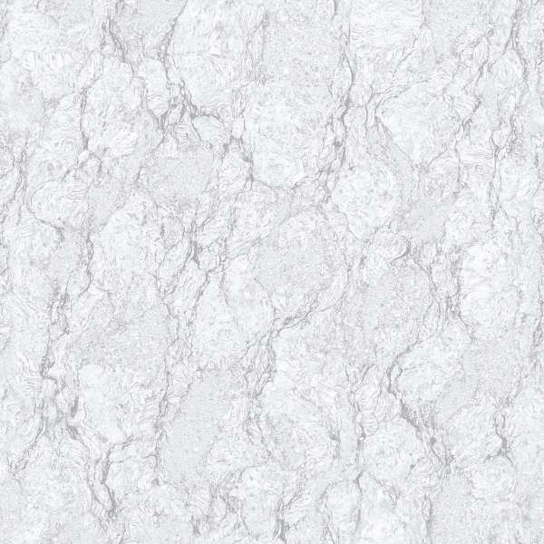 piastrelle gres porcellanato - 600 x 600 mm (24 x 24 pollici) - AZA SILVER